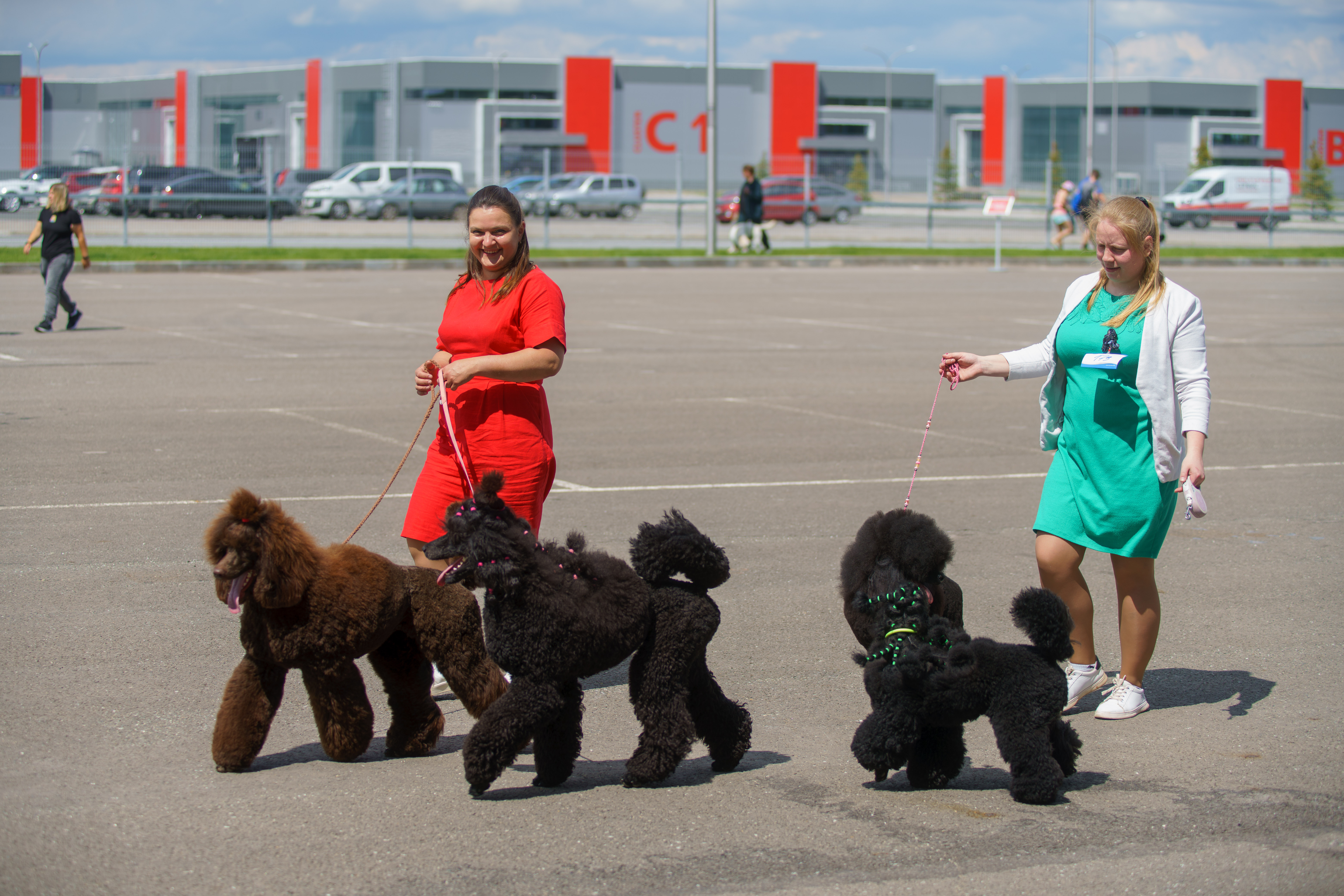 Казань Экспо выставка собак 2022