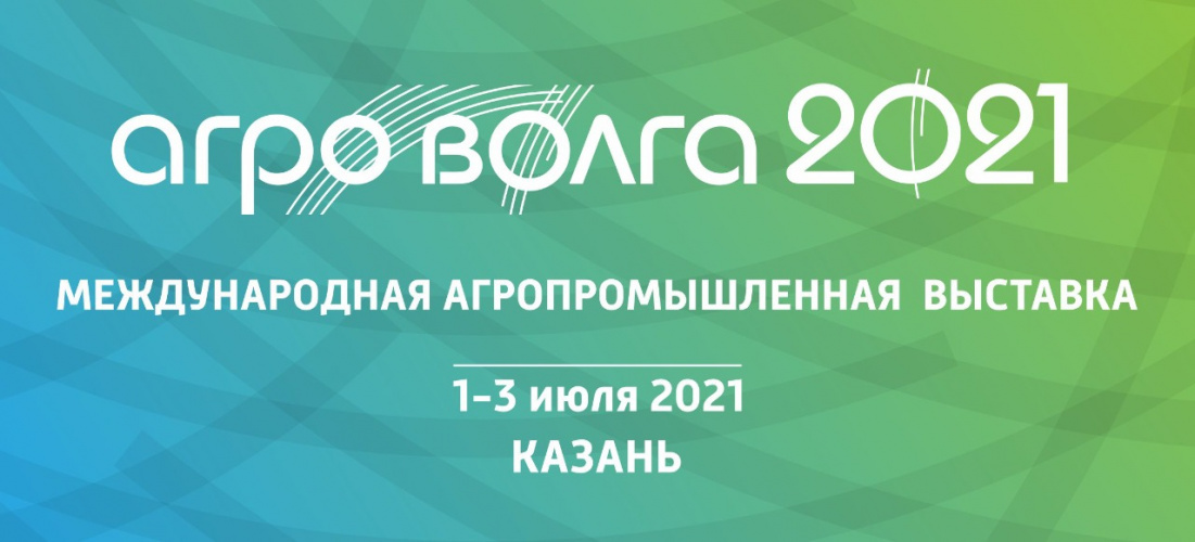 Открой в себе переводчика 2021 волгу